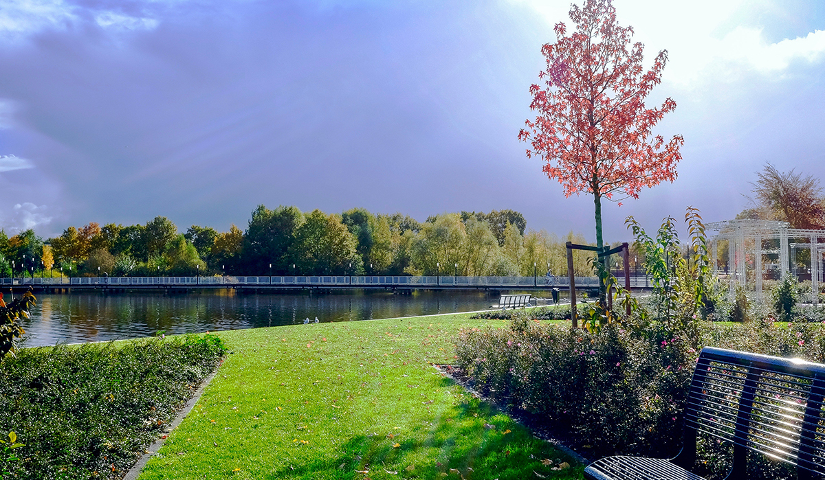 Portland, Oregon Landscaping Maintenance Services
